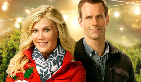 Alison Sweeney and Cameron Mathison reunite for A Plum Pudding Mystery