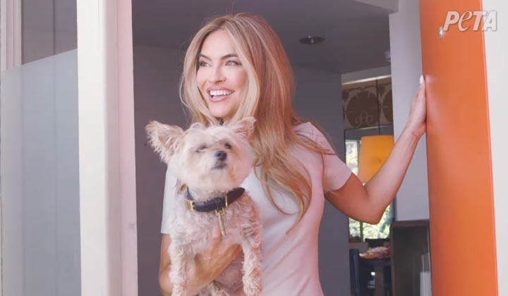 Chrishell Stause champions for homeless dogs in new PETA campaign