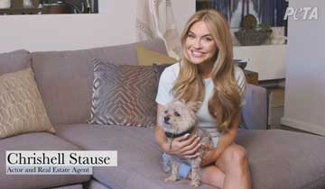 DAYS, AMC star Chrishell Stause teams with PETA for sweet animal adoption videos