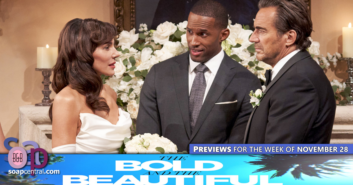 The Bold and the Beautiful Previews and Spoilers for November 28, 2022