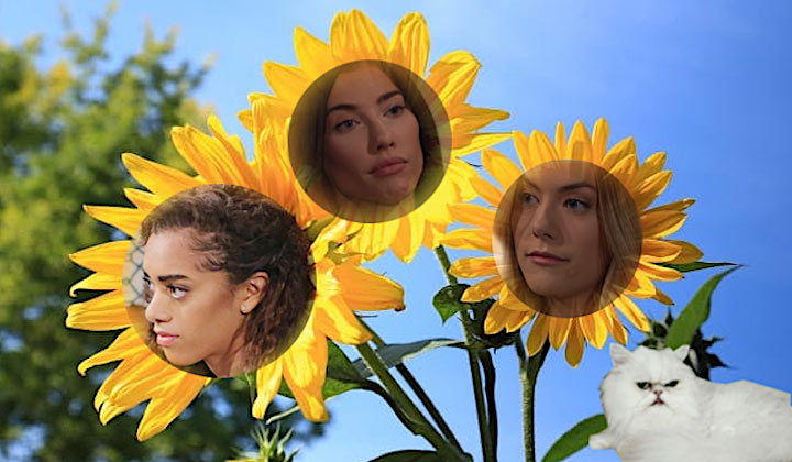 Steffy, Hope, and Emma in sunflowers with Harry the Cat looking on