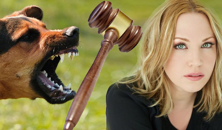 Y&R and B&B star Adrienne Frantz sues for $5 million following dog bite