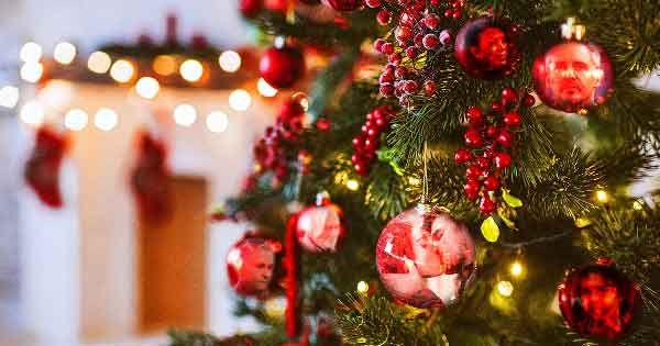 GH TWO SCOOPS COMMENTARY: Oh Christmas tree, how twisted are your branches