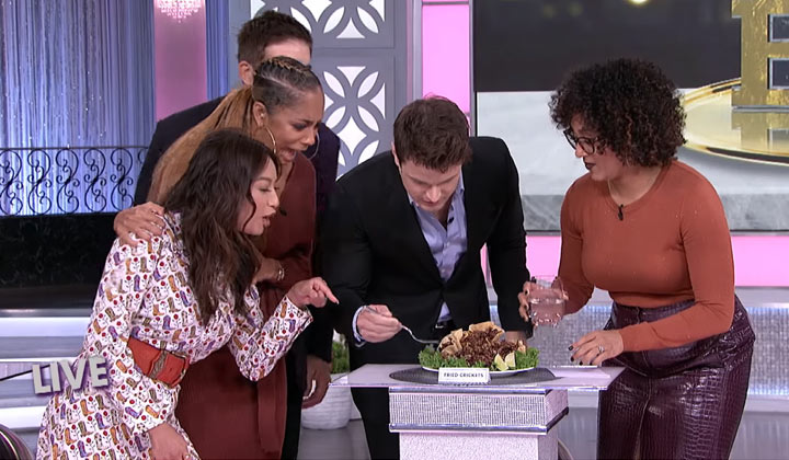 WATCH: Daytime hunks appear on The Real; The Young and the Restless' Michael Mealor eats fried crickets!