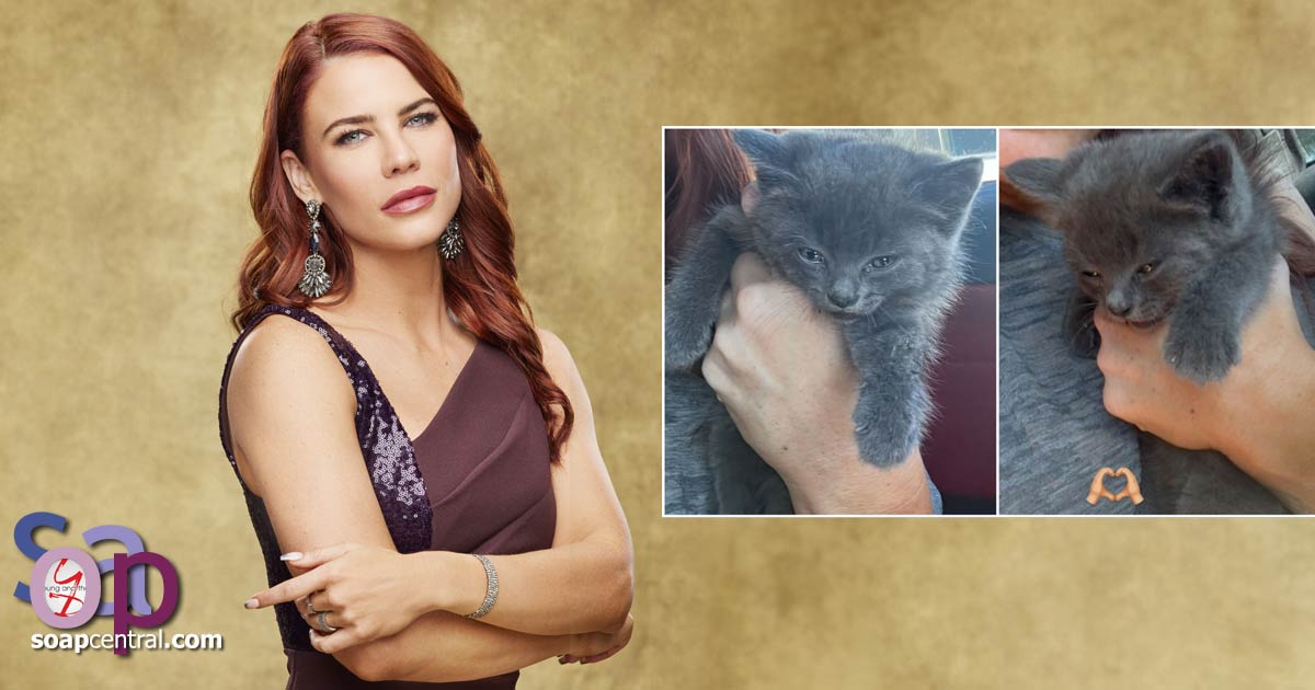Courtney Hope shares an uplifting story about saving a stray kitten from certain death